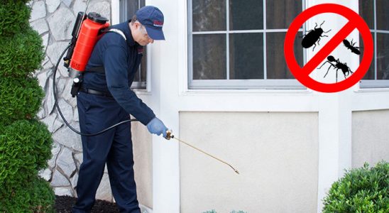 Yamanlar Tahtakurusu İlaçlama böcek ilaçlama ve haşere kontrolü — ilaclama-tr.com